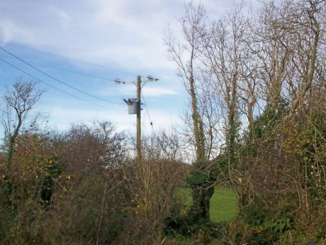 Electric Pole, Sandy Grove, Llanteg - geograph.org.uk