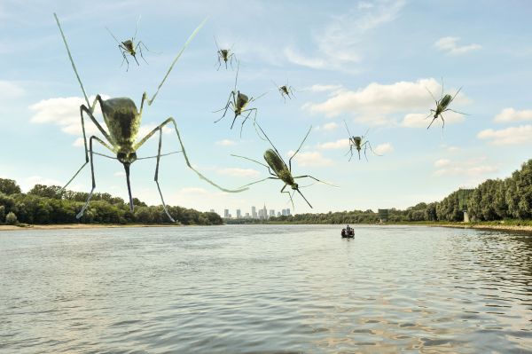 Komary nad Wisłą