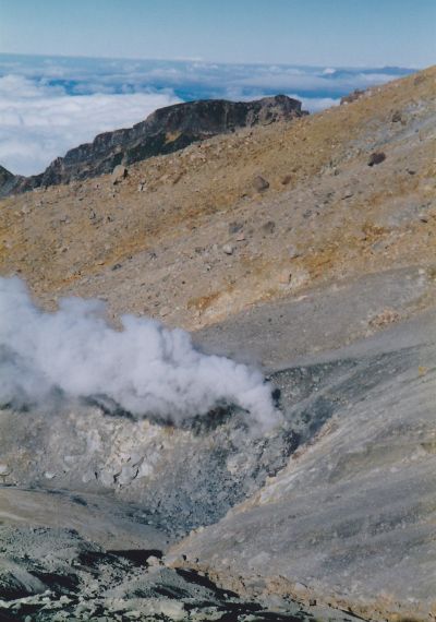 Volcanic gas of Mount Ontake