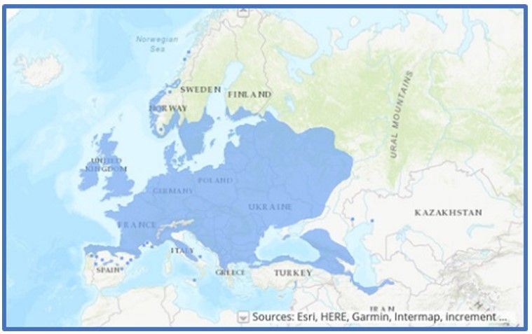 Rys.1. Naturalny zasięg jesionu wyniosłego (zaznaczony na niebiesko) (za EUFORGEN)